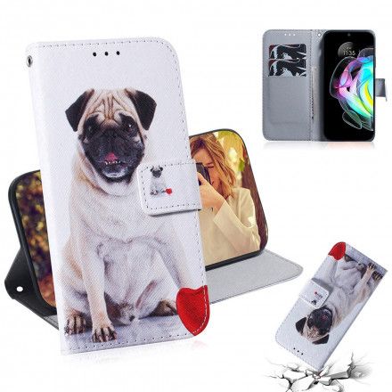 Folio Deksel Til Motorola Edge 20 Pug Dog