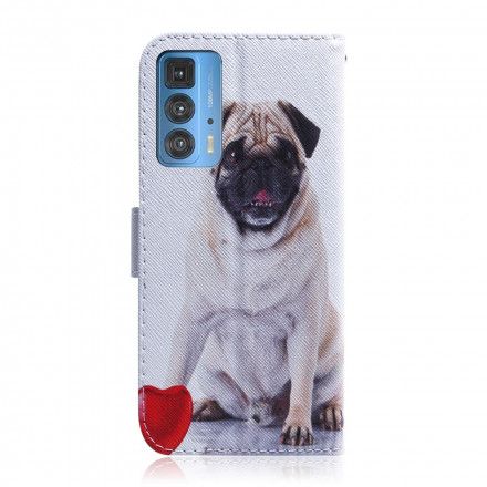 Folio Deksel Til Motorola Edge 20 Pro Pug Dog